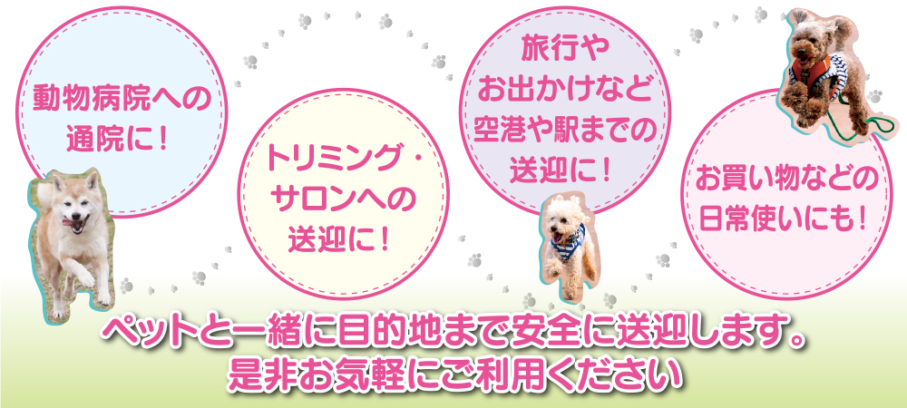 公式）ペットタクシー東京23区・埼玉・千葉 ワンネスONENESS